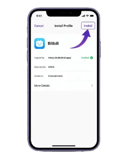 install bilibili ipa iphone install profile screen tap install button ios