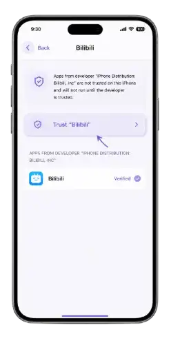 iPhone screen showing Bilibili developer settings with “Trust Bilibili” option highlighted in a purple theme.